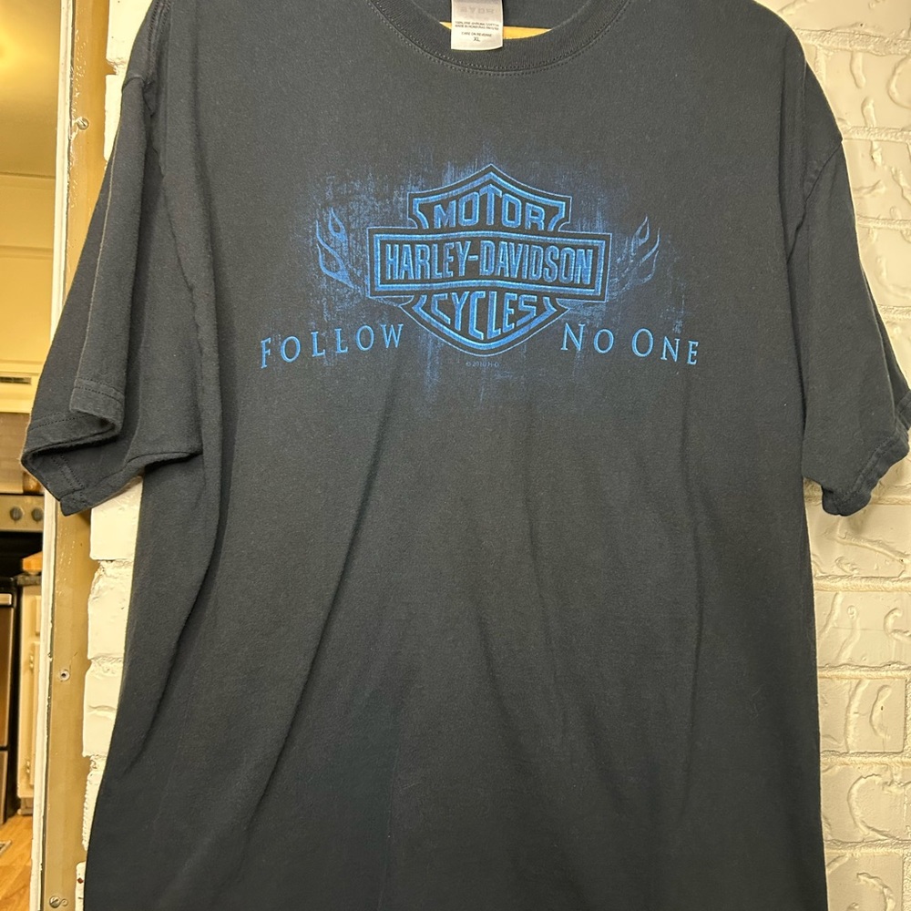 Harley Davidson - Horny Toad Temple Texas Shirt 2010 Print - Size XL